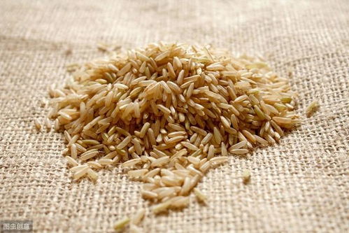 这么做米饭,想营养差都难 3大措施10个具体方案供你选择